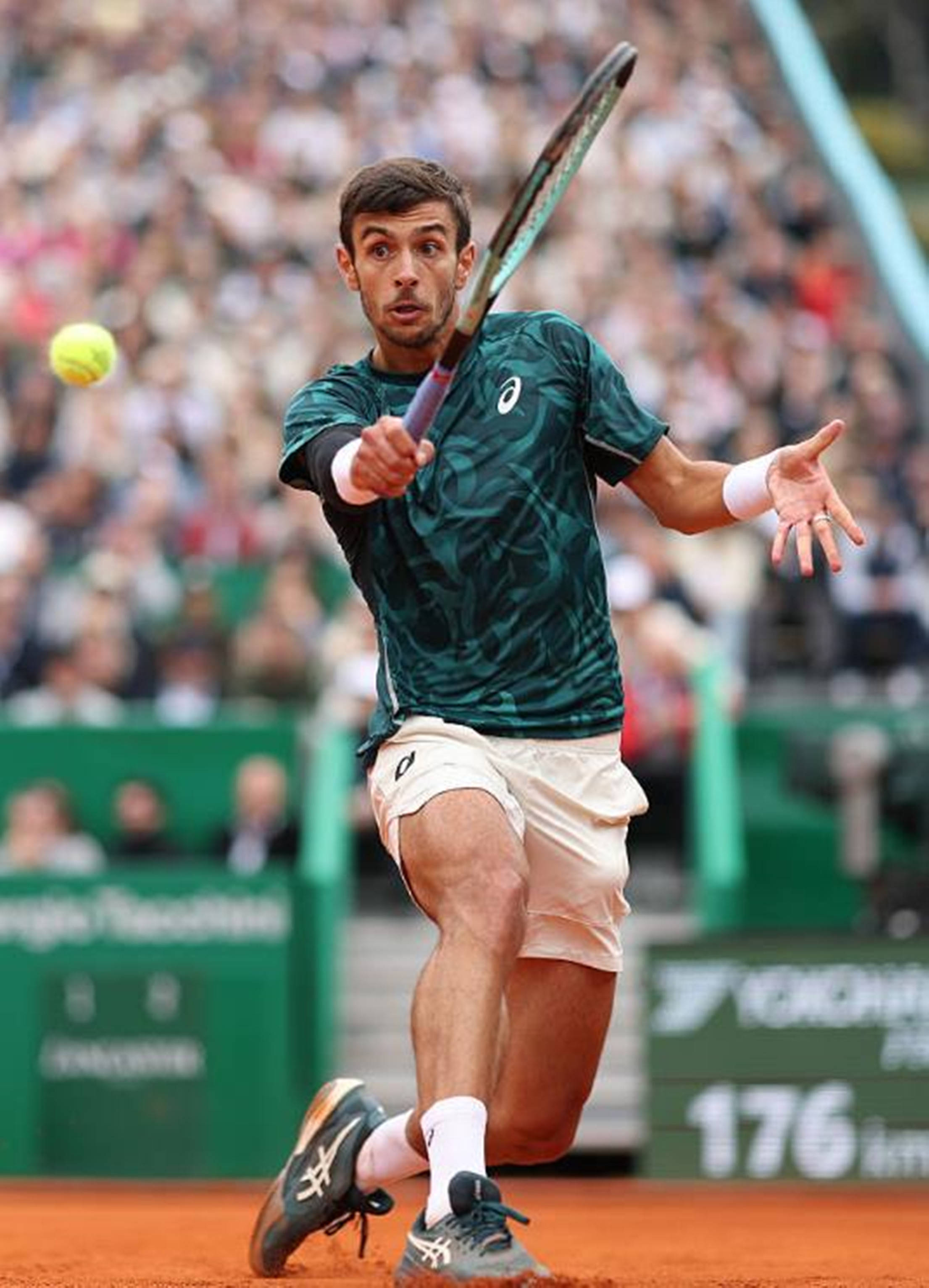 体育文化交 体育文化交